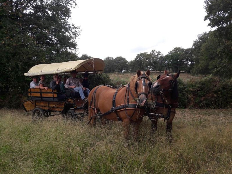 Domaine AbracadaRoom : Clos de l'Isop, le village d'hébergements insolites - Image 1