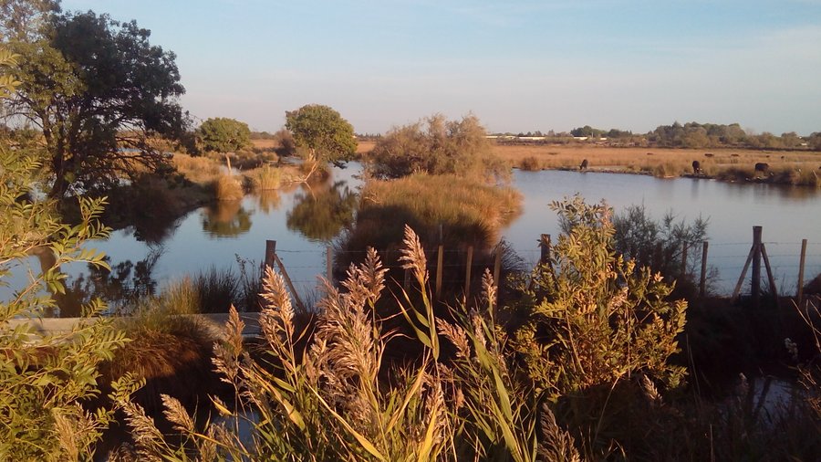 Domaine AbracadaRoom : Le Mazet de Jean - Image 4