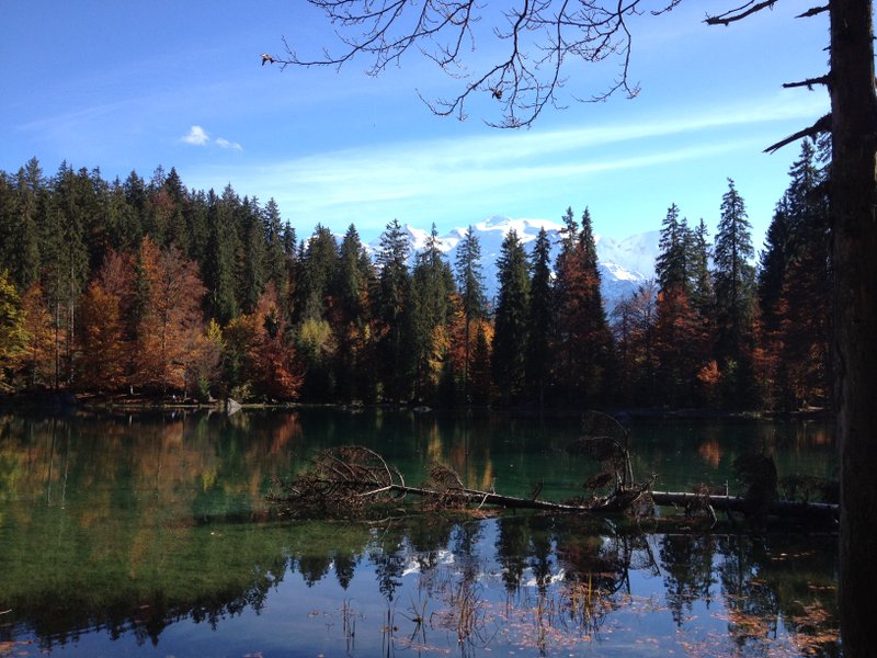Hébergement AbracadaRoom : Cabane la 3 Monts - Image 5