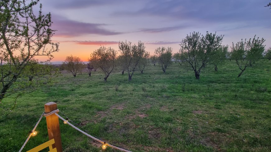 Hébergement AbracadaRoom : La bulle Ico - Image 16