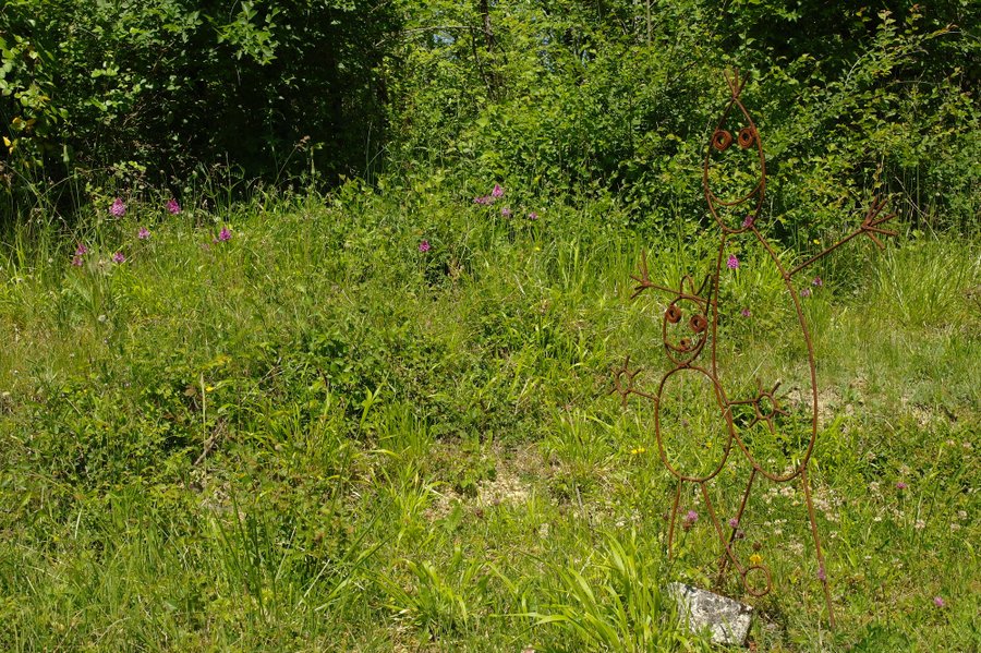 Domaine AbracadaRoom : Le Cri de la Yourte - Image 4