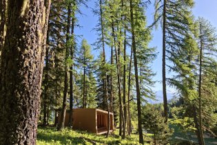 Canopée & Sauna