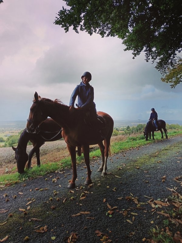 Le Ranch Normand à Les Cresnays (16)