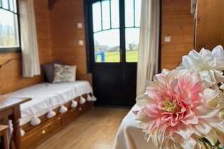 Les roulottes des amis de Wonky