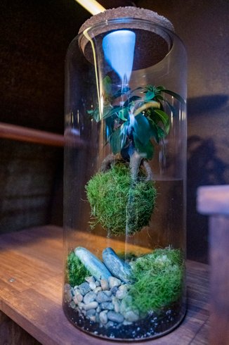 Hébergement AbracadaRoom : Le Nautilus & Sauna privatif - Image 45