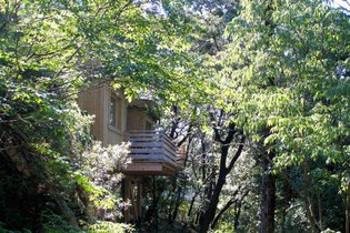 Cabane dans les arbres Aude