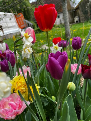 Domaine AbracadaRoom : Yourte-Bourgogne - Image 3