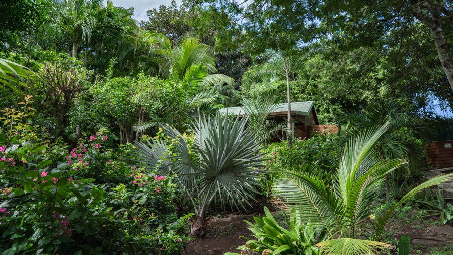 Domaine AbracadaRoom : Au Jardin des Colibris - Image 17