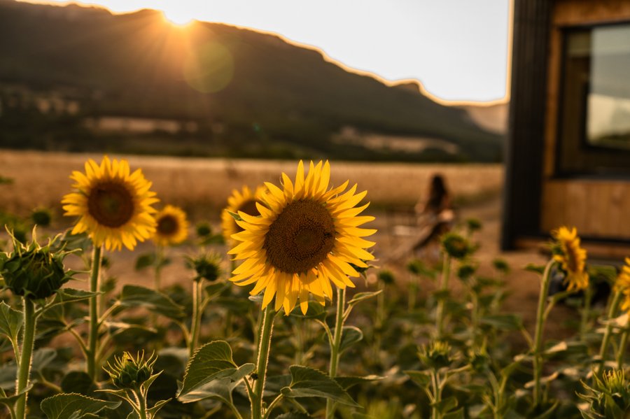 Domaine AbracadaRoom : Homnest (Beaufort) - Image 16