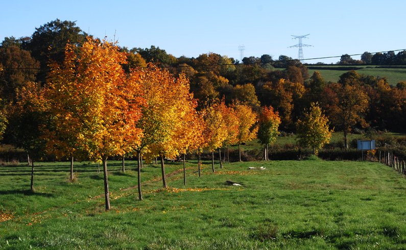Domaine AbracadaRoom : La Grange Agitée - Image 1