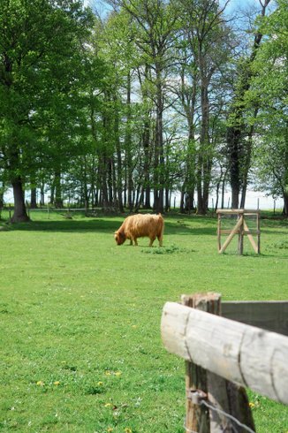 Hébergement AbracadaRoom : Parcel Tiny House - près des animaux dans le Jura - Image 10