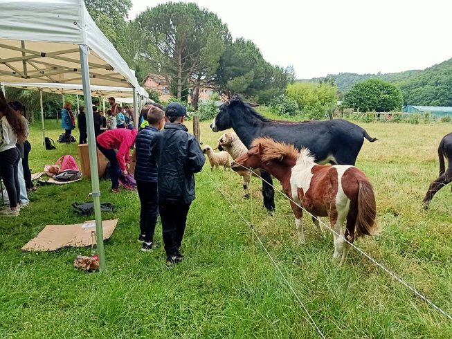 Domaine AbracadaRoom : Centre Agro Environnemental de Brassacou - Image 21