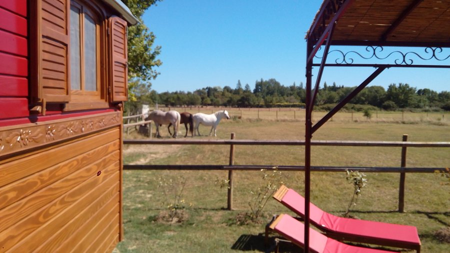 Hébergement AbracadaRoom : La Nanou'che en Camargue - Image 4