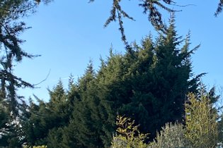 Tonneau Haute-Garonne