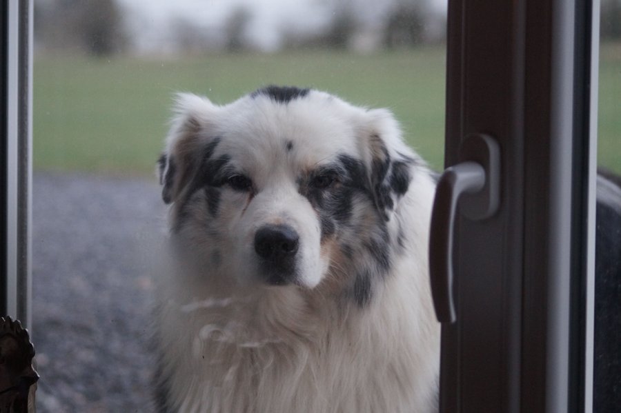 Domaine AbracadaRoom : Ferme du Moulin de Bois - Image 16