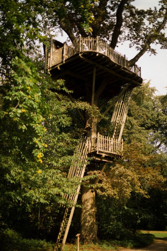 Cabane Imprenable à Raray (6)