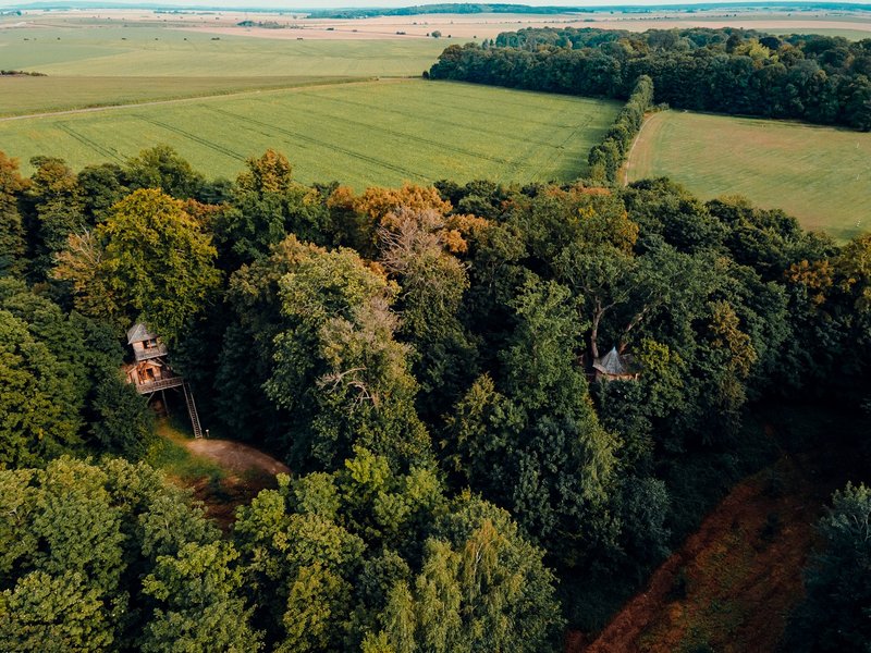Domaine AbracadaRoom : Cabanes des Grands Chênes - Image 2