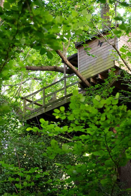 Cabane Pivert à Saint Pierre Azif (2)