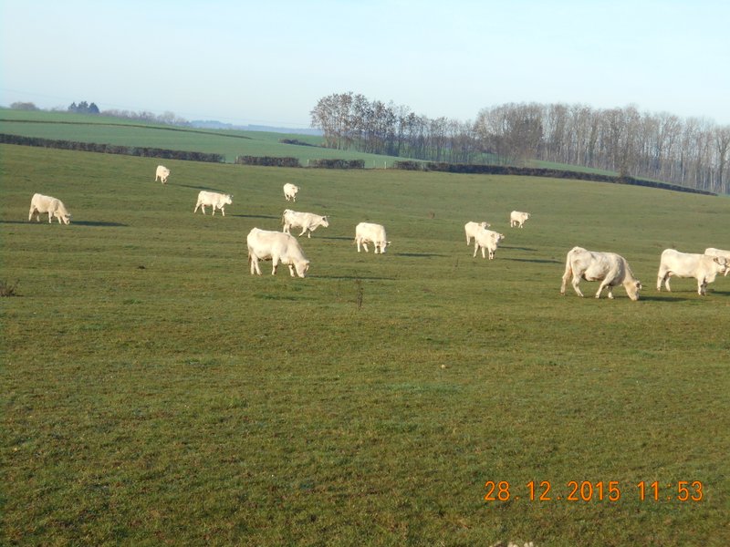 Domaine AbracadaRoom : Domaine du Pré Vert - Image 1