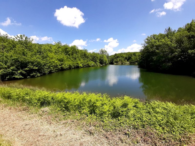 Hébergement AbracadaRoom : Cote de Begayne - Image 14