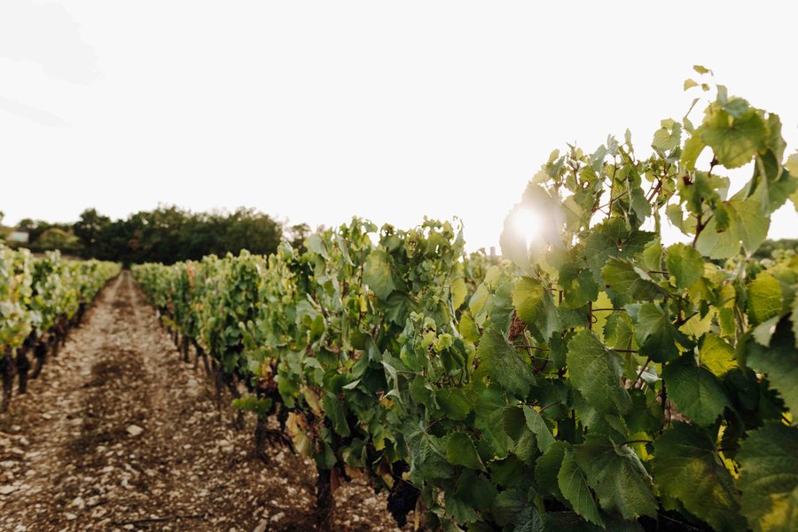 Domaine AbracadaRoom : Parcel Tiny House - dans le Vaucluse - Image 1