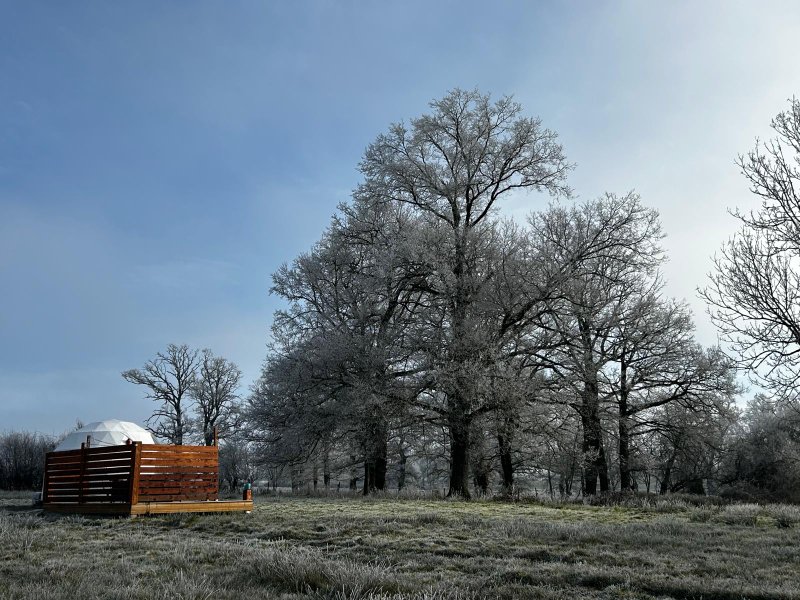 Domaine AbracadaRoom : Berry Dome - Image 15