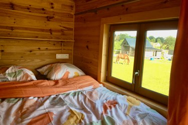 Pony House : séjour nature en Normandie à La Chapelle-Cécelin (1)