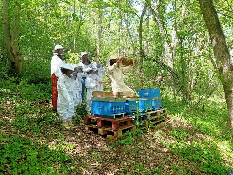 Hébergement AbracadaRoom : La Roulotte du Centre Agro Environnemental de Brassacou - Image 17