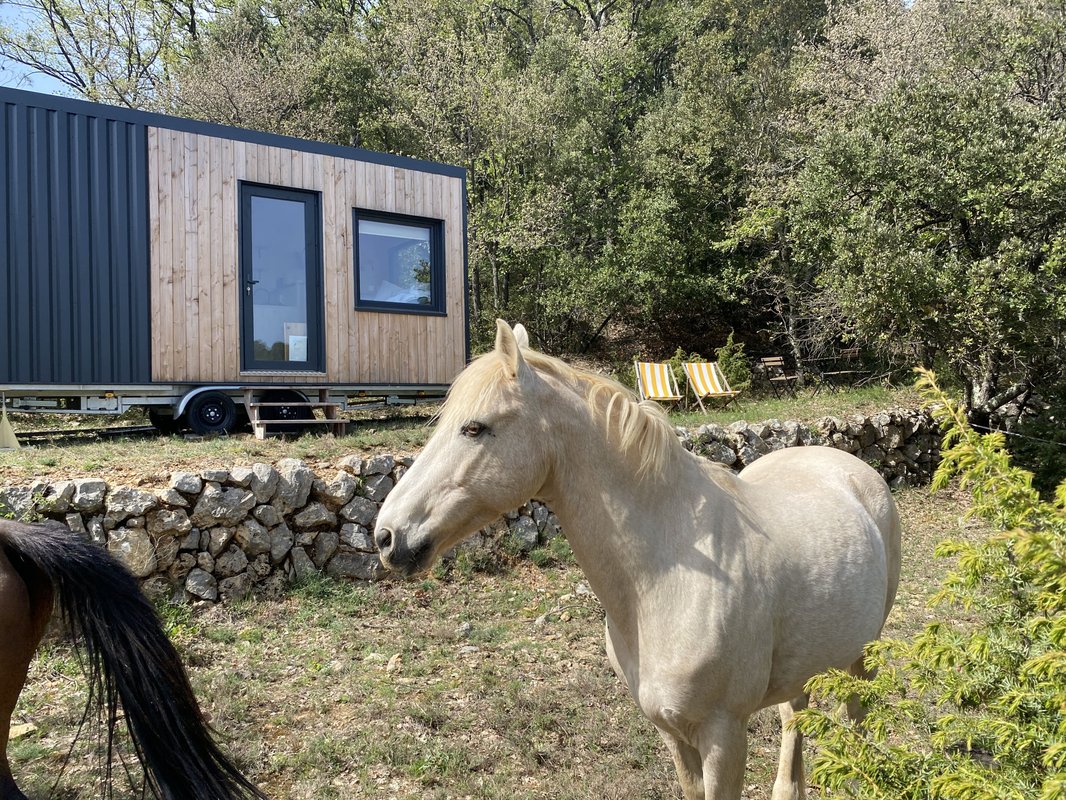 Les Restanques de Rioumard - Verdon à cheval à Varages (36)