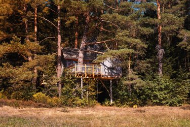 Cabane perchée Cosy Famille à Champdray (1)