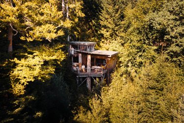 Cabane perchée Deluxe Famille avec Spa à Champdray (1)