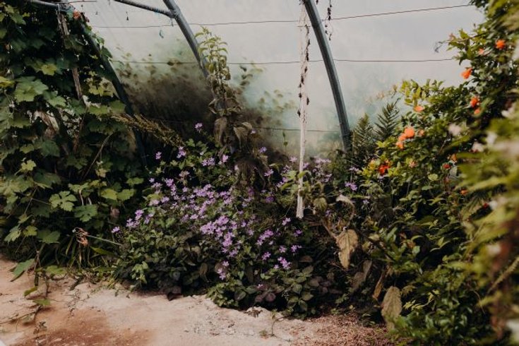 Hébergement AbracadaRoom : La Casa de Lili - Image 33