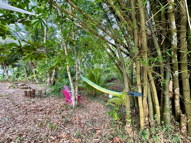 Hébergement AbracadaRoom : BULLE RIVIERA & SPA - Image 13