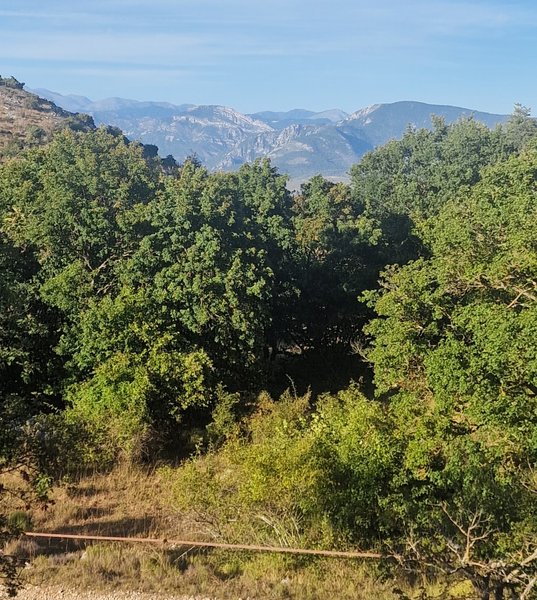 Domaine AbracadaRoom : BULLES DE REVES - Image 2