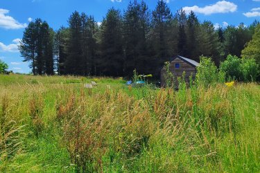 Cabane du Cerf  & Bain nordique à Le Controis-En-Sologne (2)