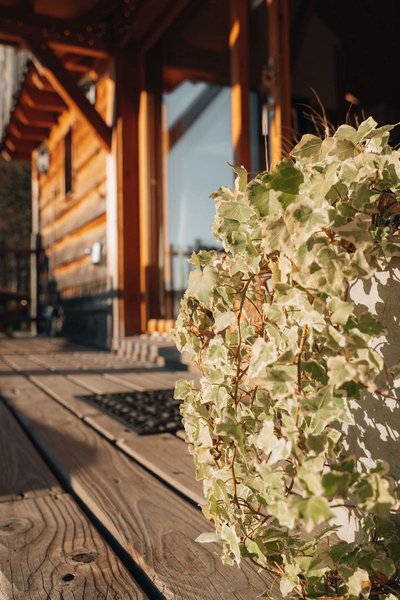 Hébergement AbracadaRoom : Castél de l'Arbre à Château de Memanat - Image 28