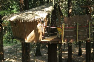 Cabane dans les arbres Ille-et-Vilaine
