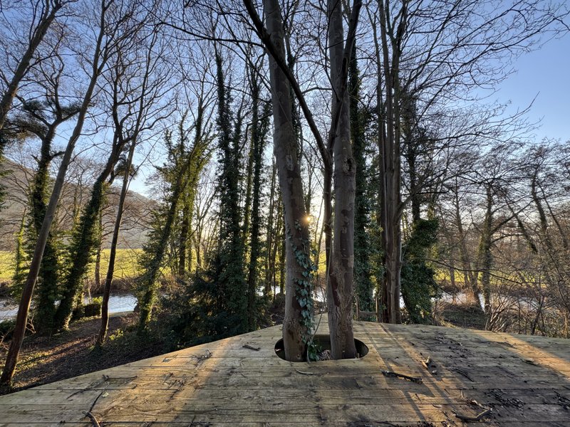 Domaine AbracadaRoom : L'île Merveilleuse - Image 2