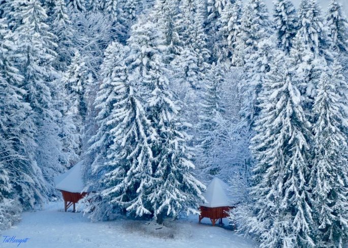 Domaine AbracadaRoom : Cabanes Chartreuse insolite - Image 3