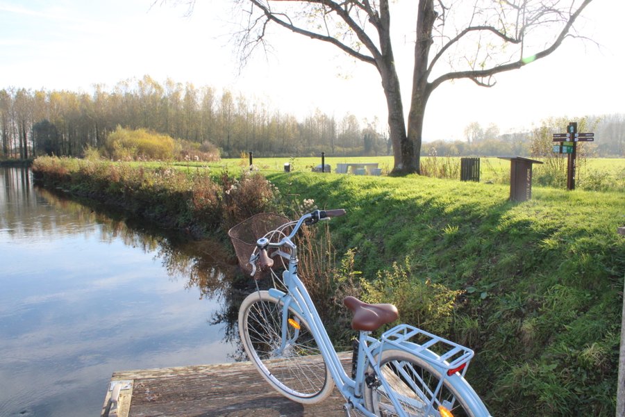 Hébergement AbracadaRoom : DOLFYN - Image 21