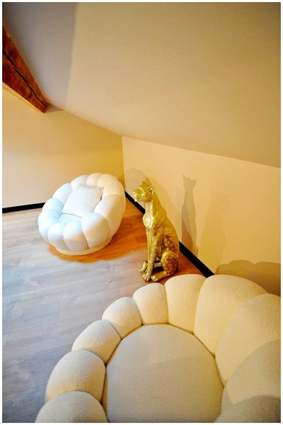 Hébergement AbracadaRoom : Évasion safari unique, SPA XXL, CASCADE D'EAU, CINÉMA PRIVÉ, 5 min du centre - Image 22