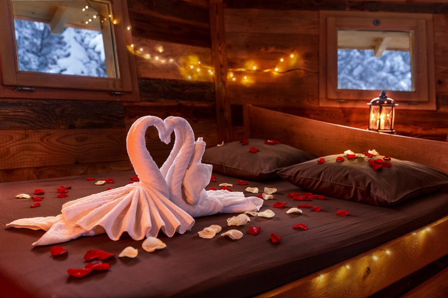 Hébergement AbracadaRoom : Cabane "La Trafolle" - Image 4