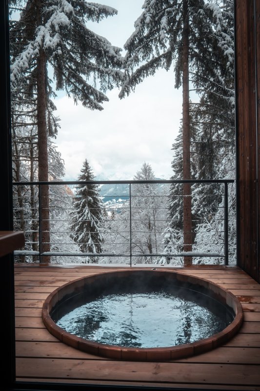 La Cabane "Scandinave" & SPA à Saint Nicolas La Chapelle (3)