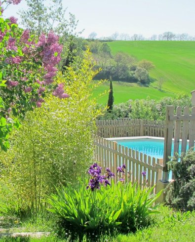 Hébergement AbracadaRoom : La Roulotte Violette du Lauragais - Image 9