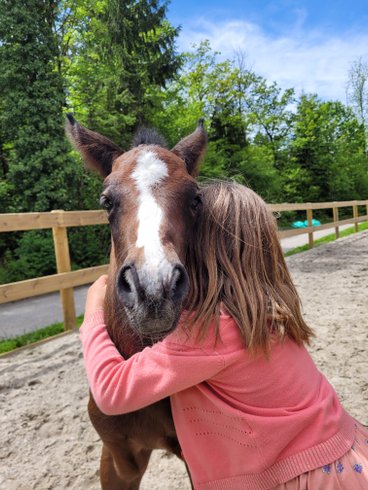 Hébergement AbracadaRoom : La Roulotte des Lutins - Image 12