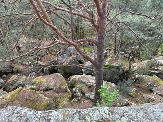 Domaine AbracadaRoom : Paley de l'éden - Image 14