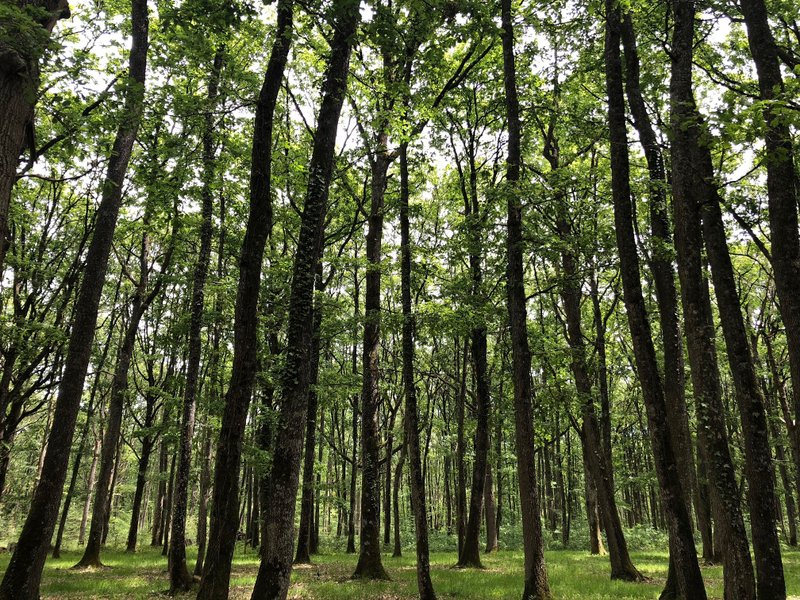 Hébergement AbracadaRoom : Suite « Essentielle » & Spa - Image 15