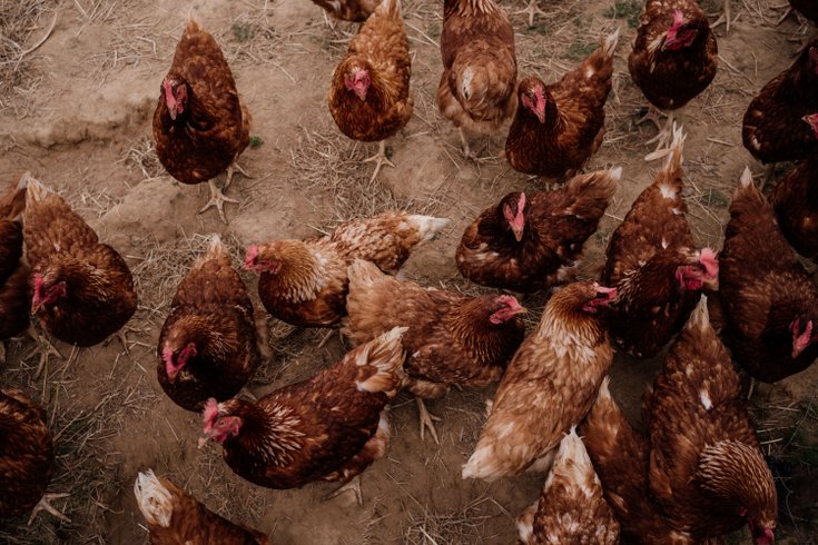 Domaine AbracadaRoom : Un Lit au Pré - Ô Manoir de Glam's - Image 10