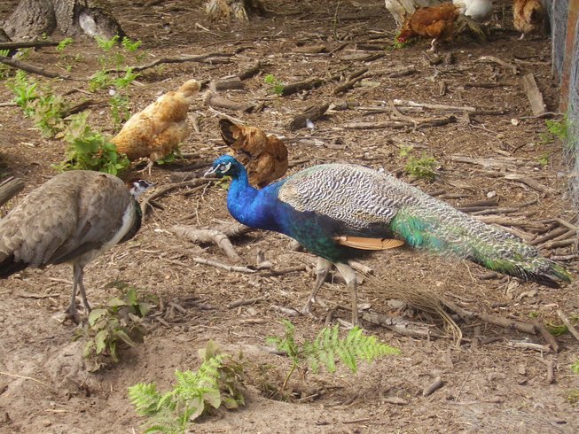 Domaine AbracadaRoom : La Ferme de l'Argenté - Image 7
