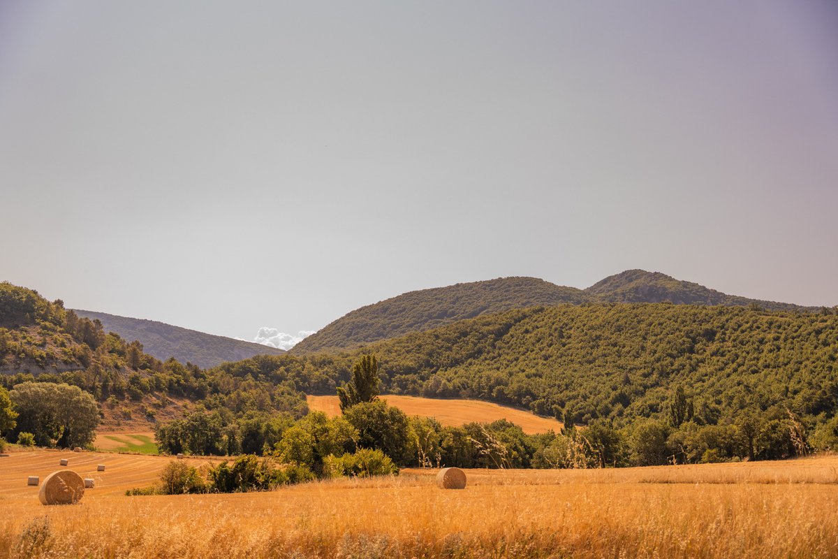 Homnest - L'Observatoire des Préalpes à Puy-Saint-Martin (66)